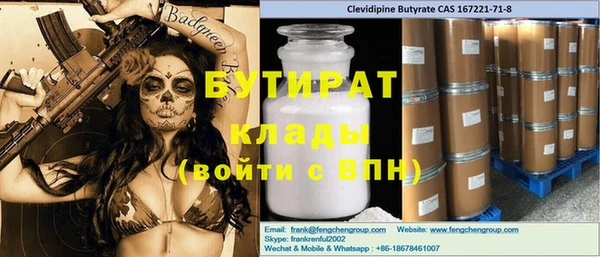 индика Алзамай