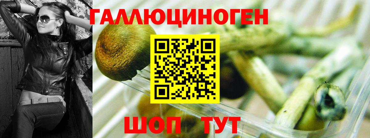 Бирск  Галлюциногенные грибы GOLDEN TEACHER  Вход с VPN 